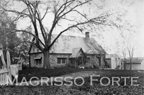 Edgewood Farmhouse
